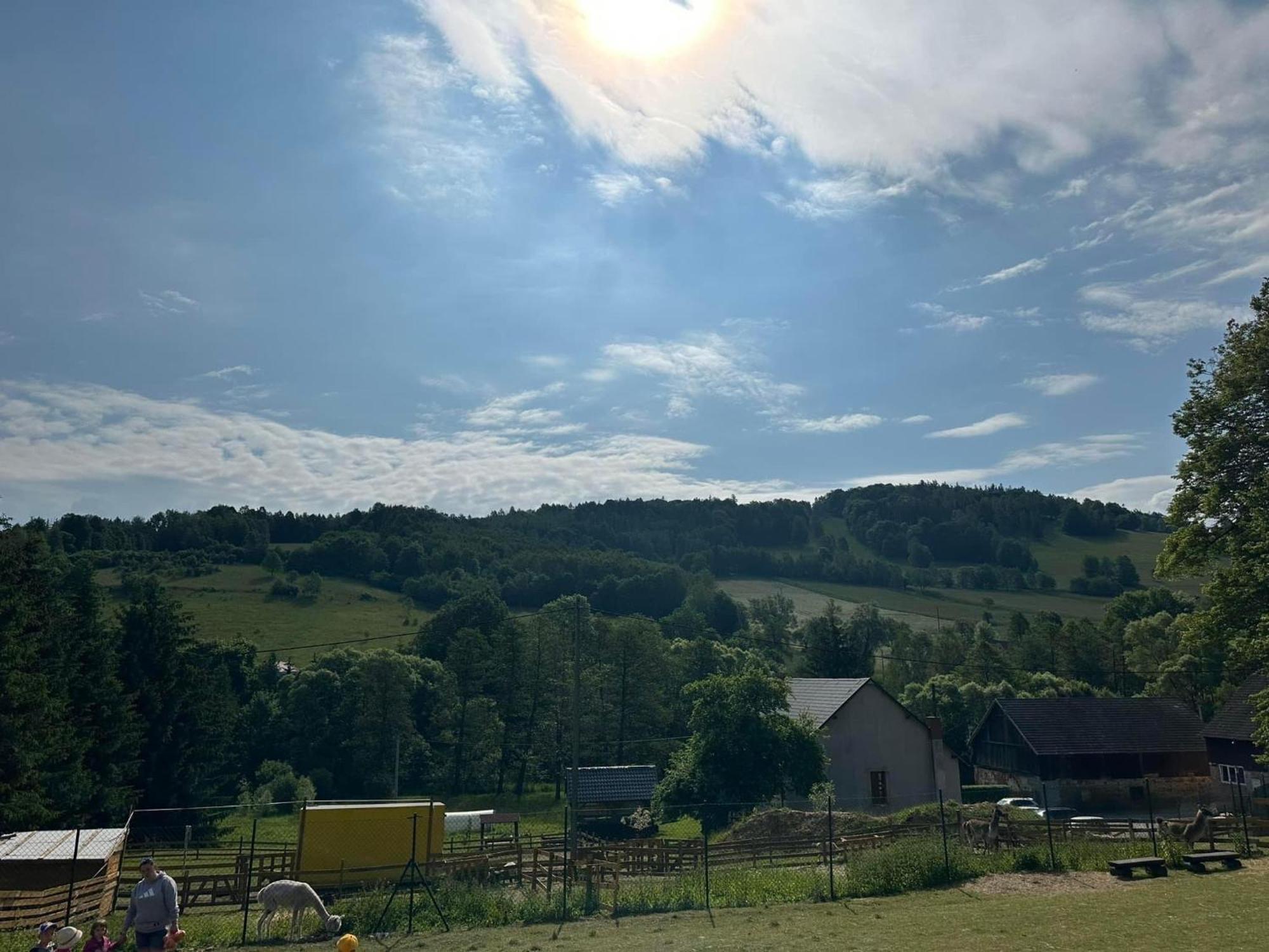 Konradow Agroturystyka Alpaka Konradow公寓 外观 照片