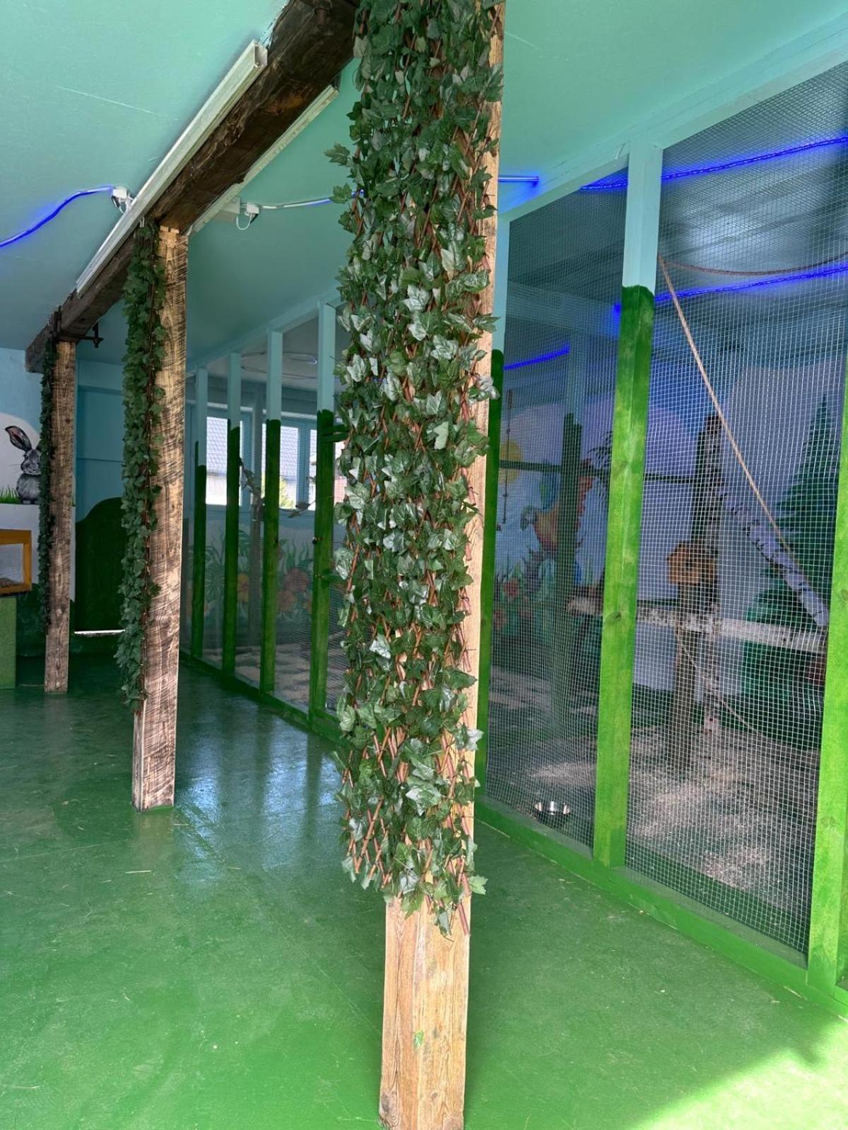 Konradow Agroturystyka Alpaka Konradow公寓 外观 照片