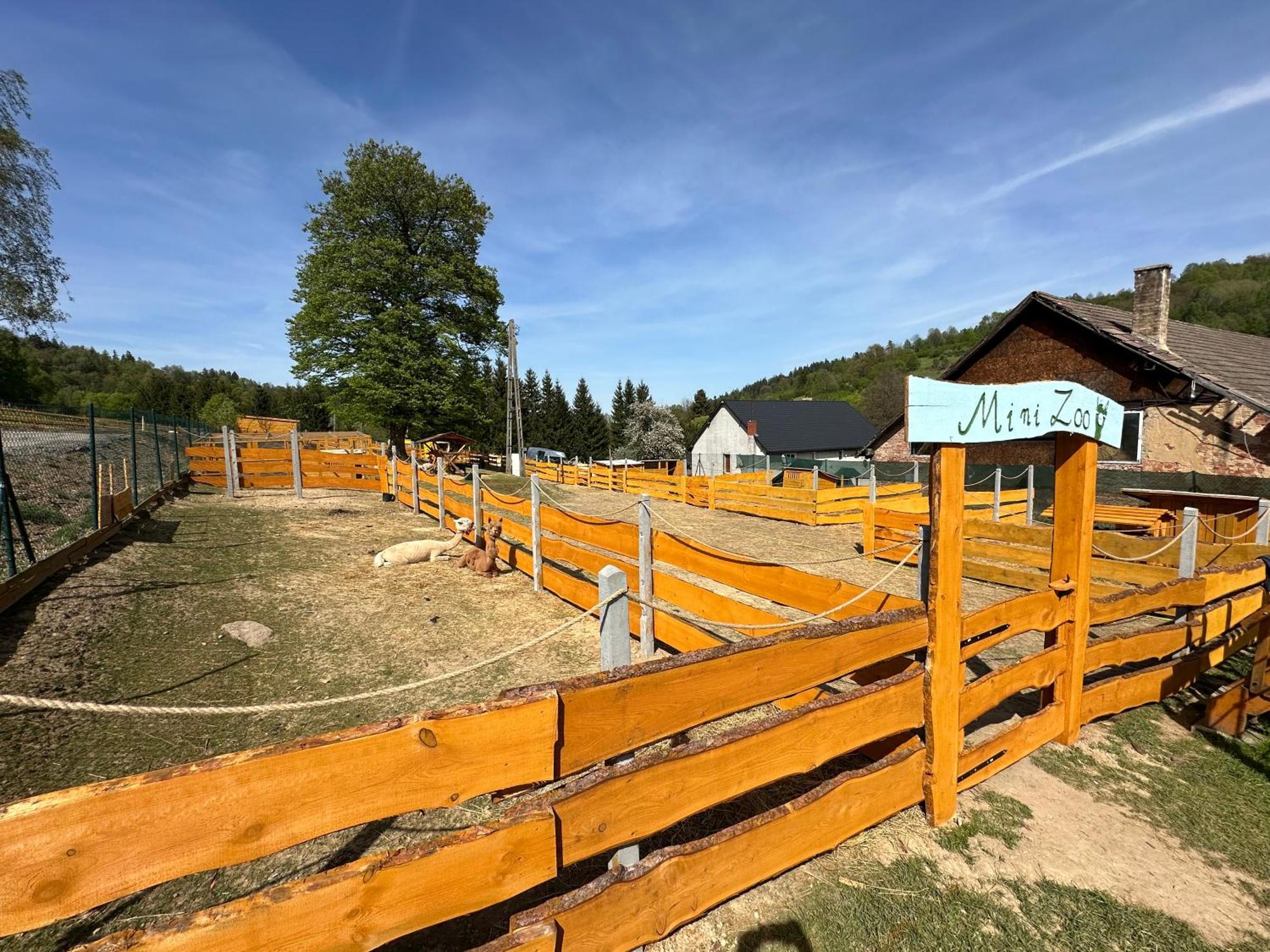 Konradow Agroturystyka Alpaka Konradow公寓 外观 照片